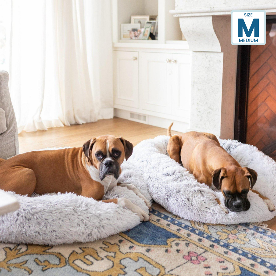 Haven CANADA Pet Bed CERAMO Pet Bed