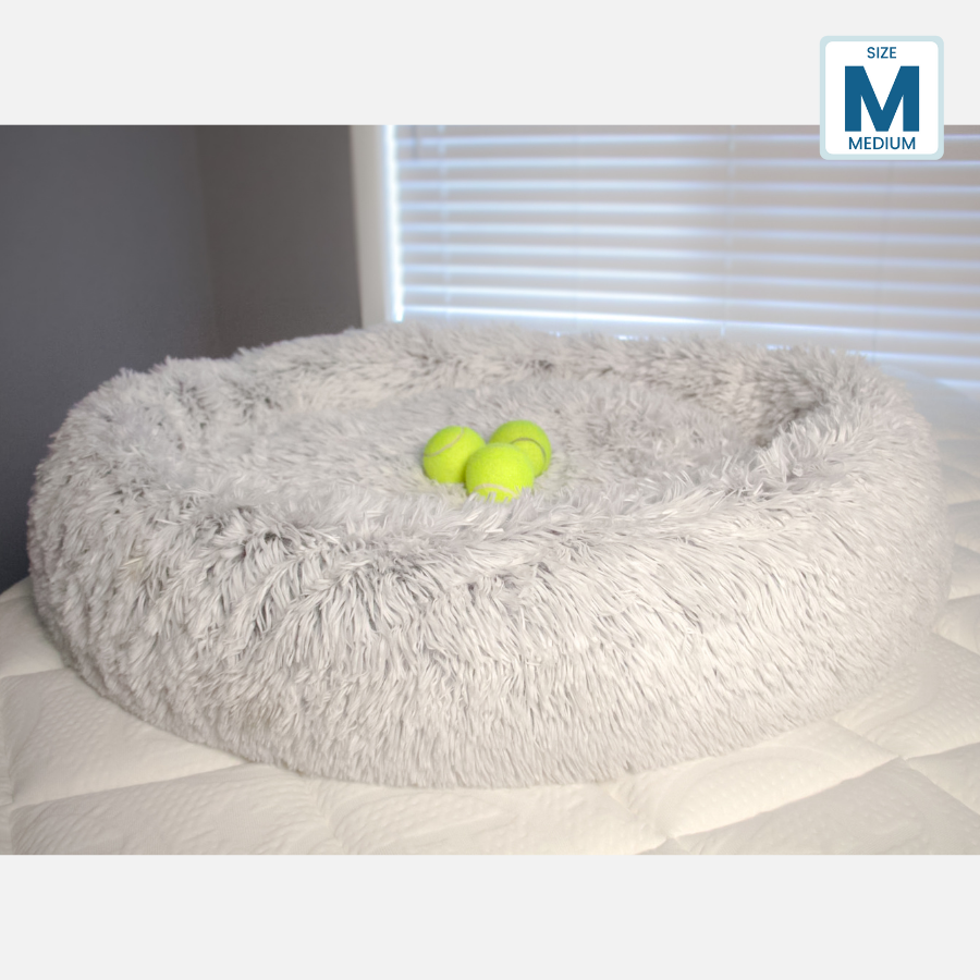 Haven CANADA Pet Bed Medium 36"x 36" CERAMO Pet Bed